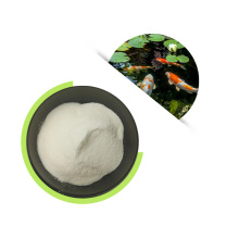 Click High Quality Functional Food Ingredients Bacillus Coagulans Probiotic Powder